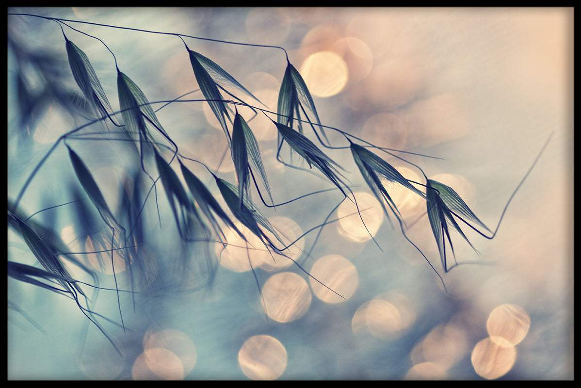 Ruhiges Herbstplakat