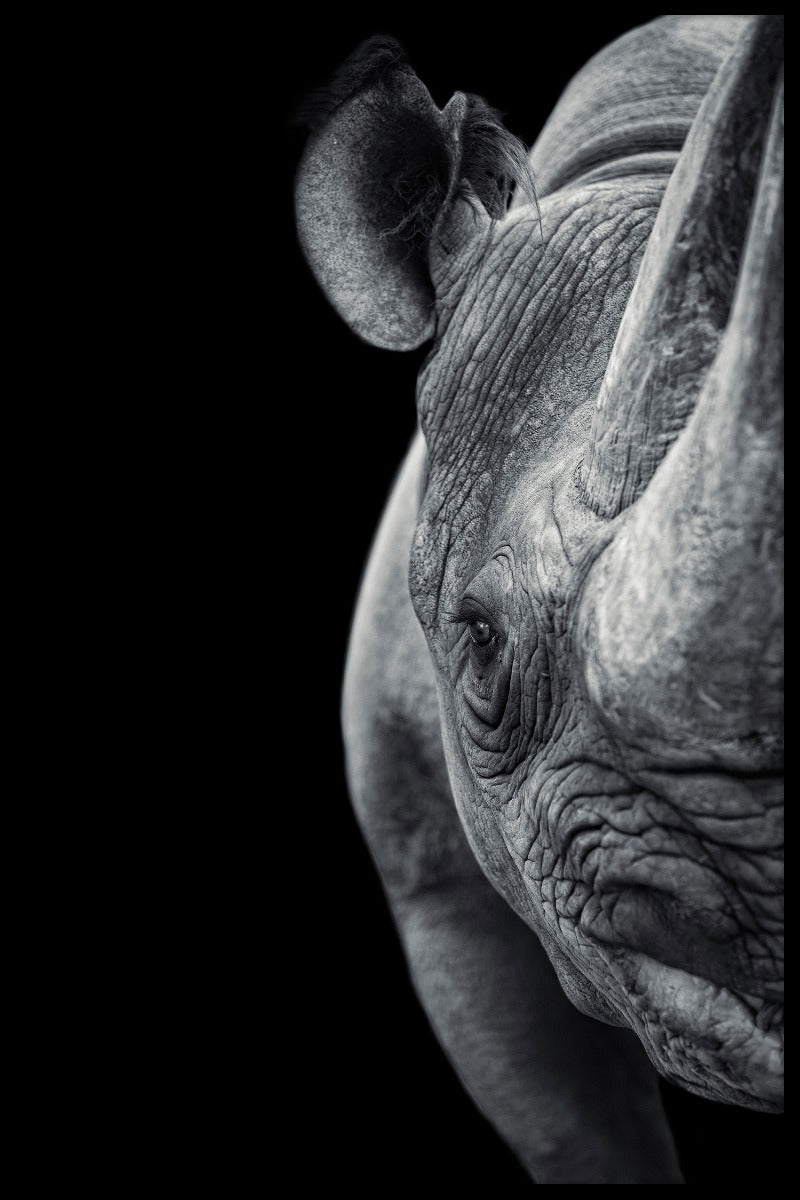 Nashorn-Portrait-Poster