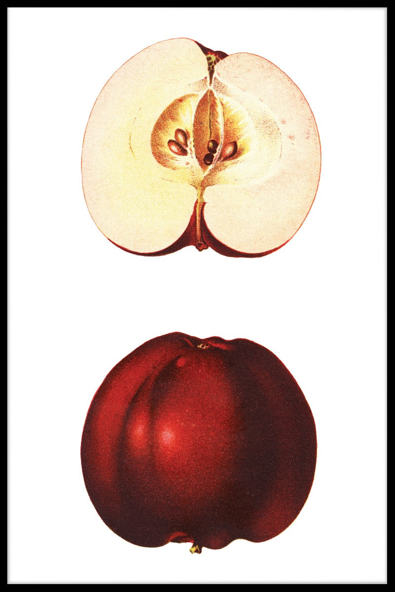 Roter Apfel-Plakat
