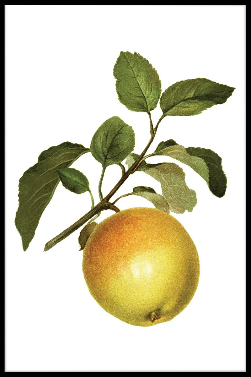 Gelbes Apfelplakat