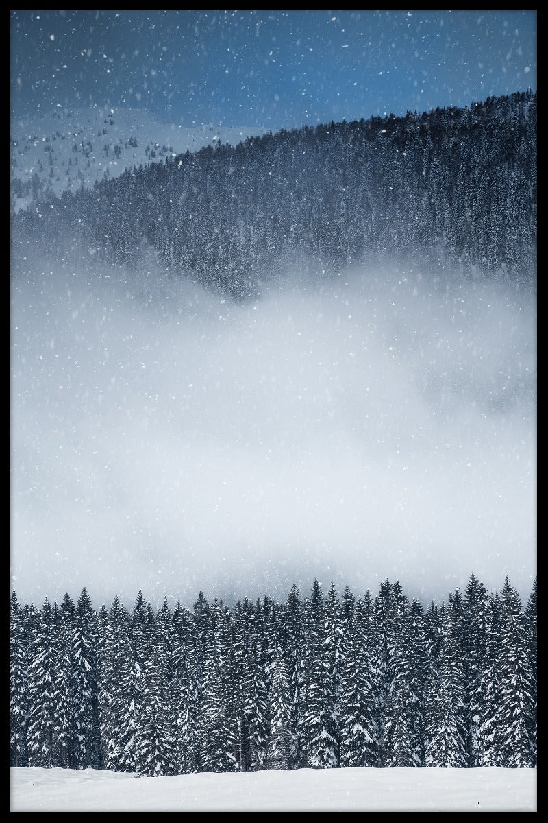 Waldeinträge im Winter anzeigen