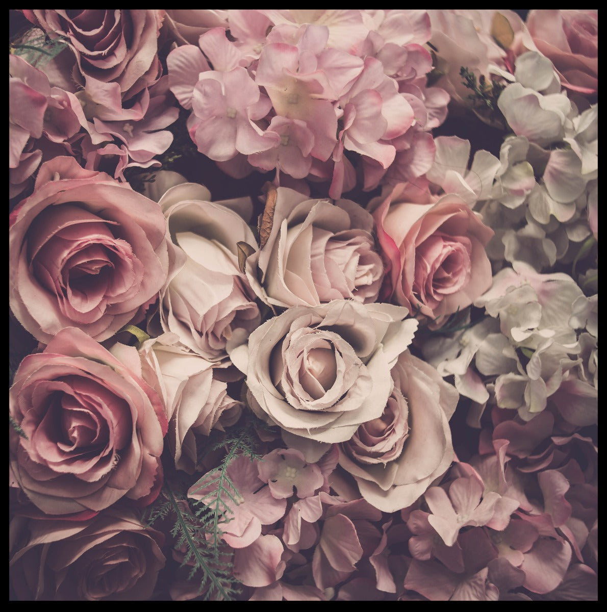 Plakat mit rosa Rosen