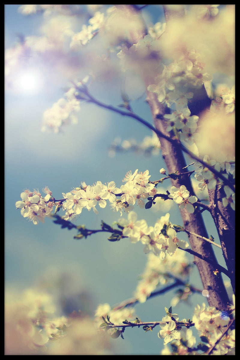 Vintages körsbärsträd-Plakat