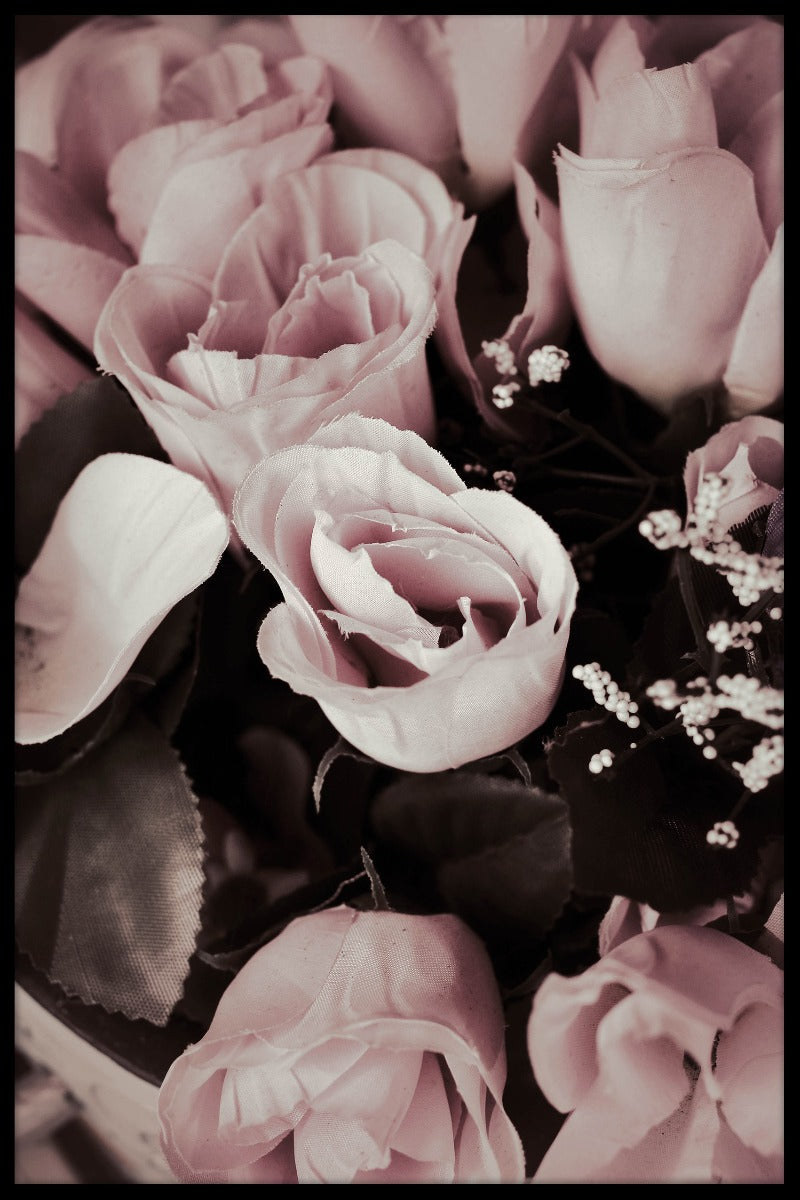 Rose N02-Plakat