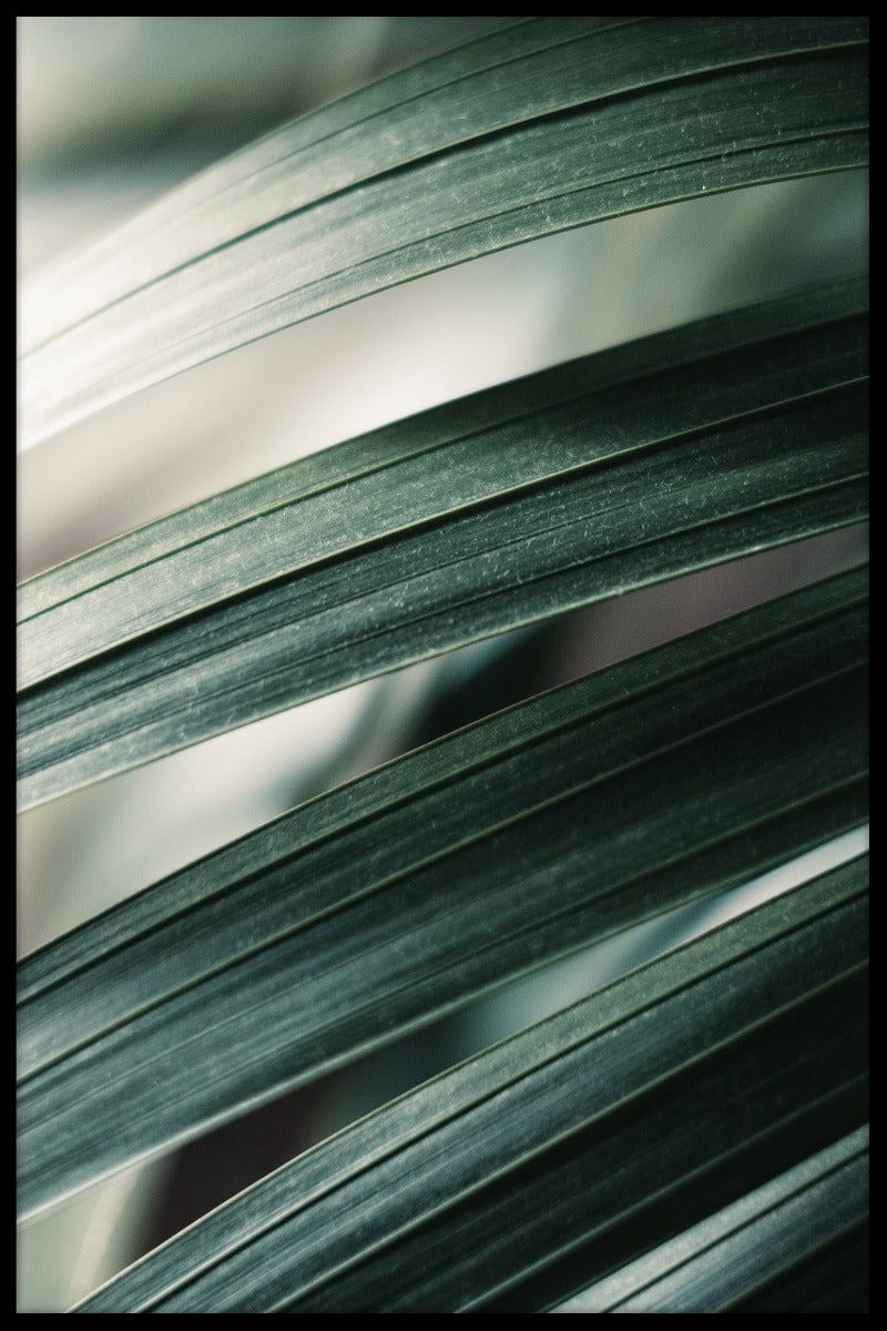 Poster mit tropischen Blättern