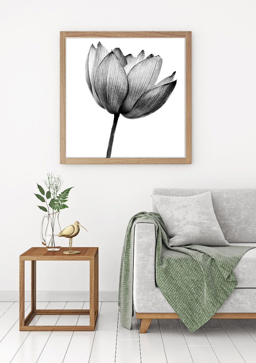 Lotus-Schwarz-Weiß-Poster