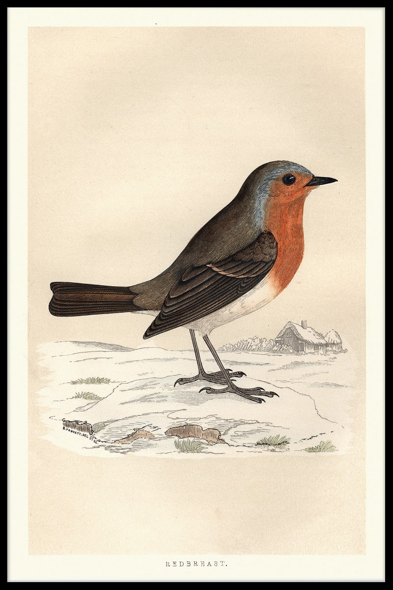 Robin Redbreast-Plakat