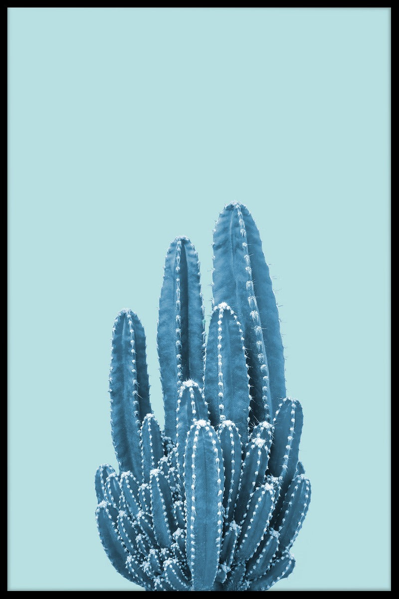 Kaktus auf blauem Plakat
