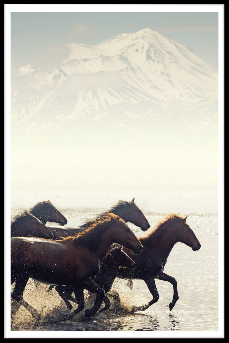 Wild Horses N02 Rekord