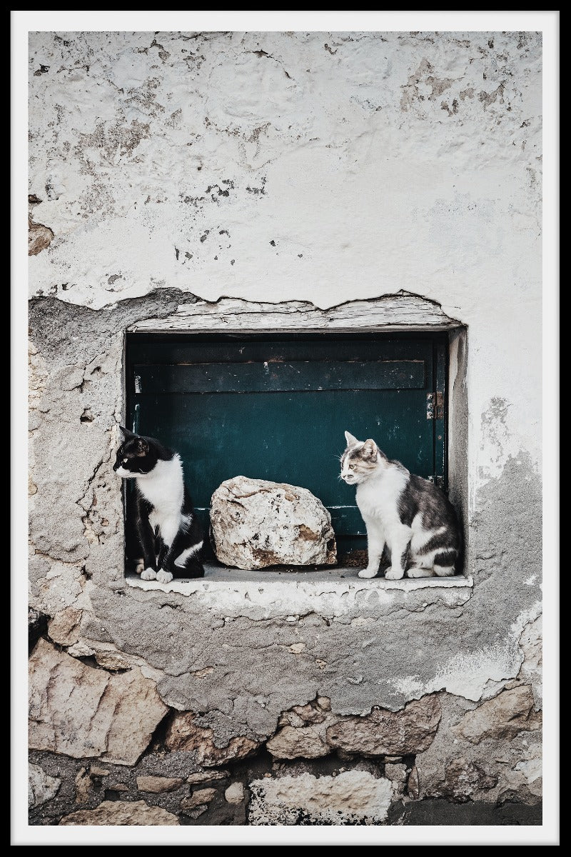 Post Katzen in Milnos