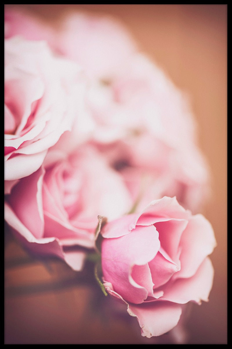 Rosa Rosen N02 Poster