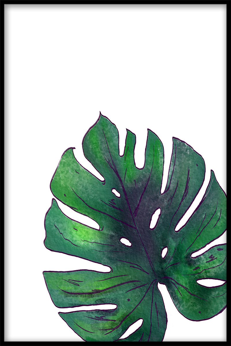 Monstera N02-Einträge