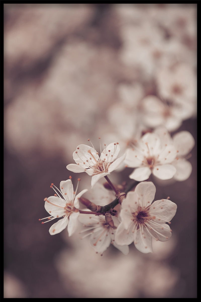 Blumen N04 Artikel