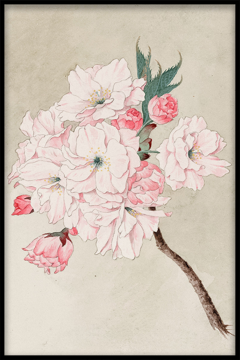 Kirschblüte N01 Schallplatte