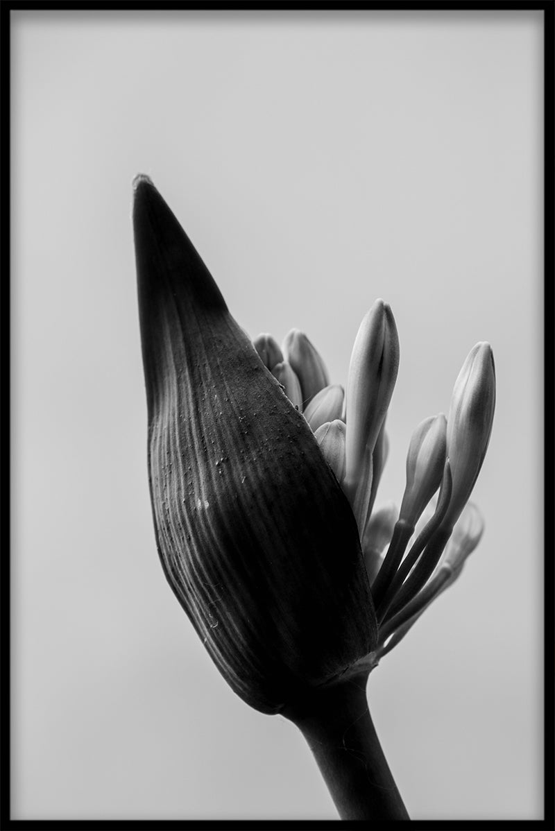 Kunstfotografie N02 Artikel