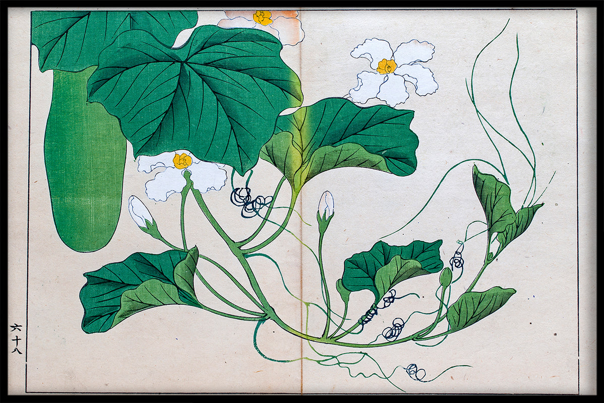 Aufzeichnung der japanischen Illustration N01