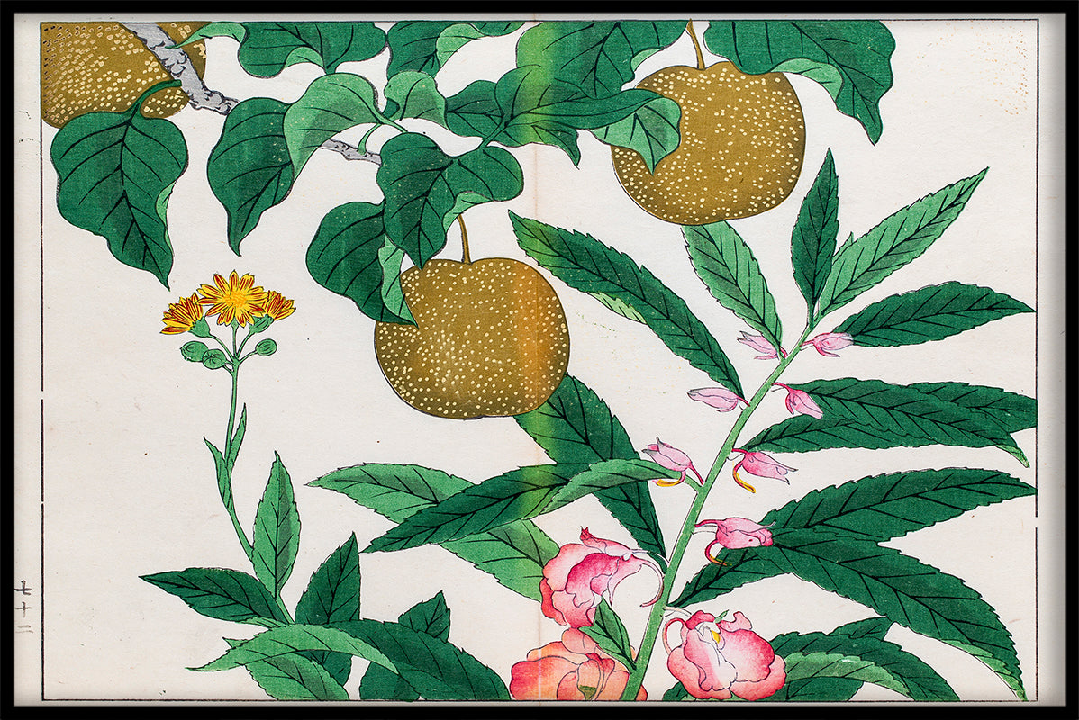 Aufzeichnung der japanischen Illustration N03