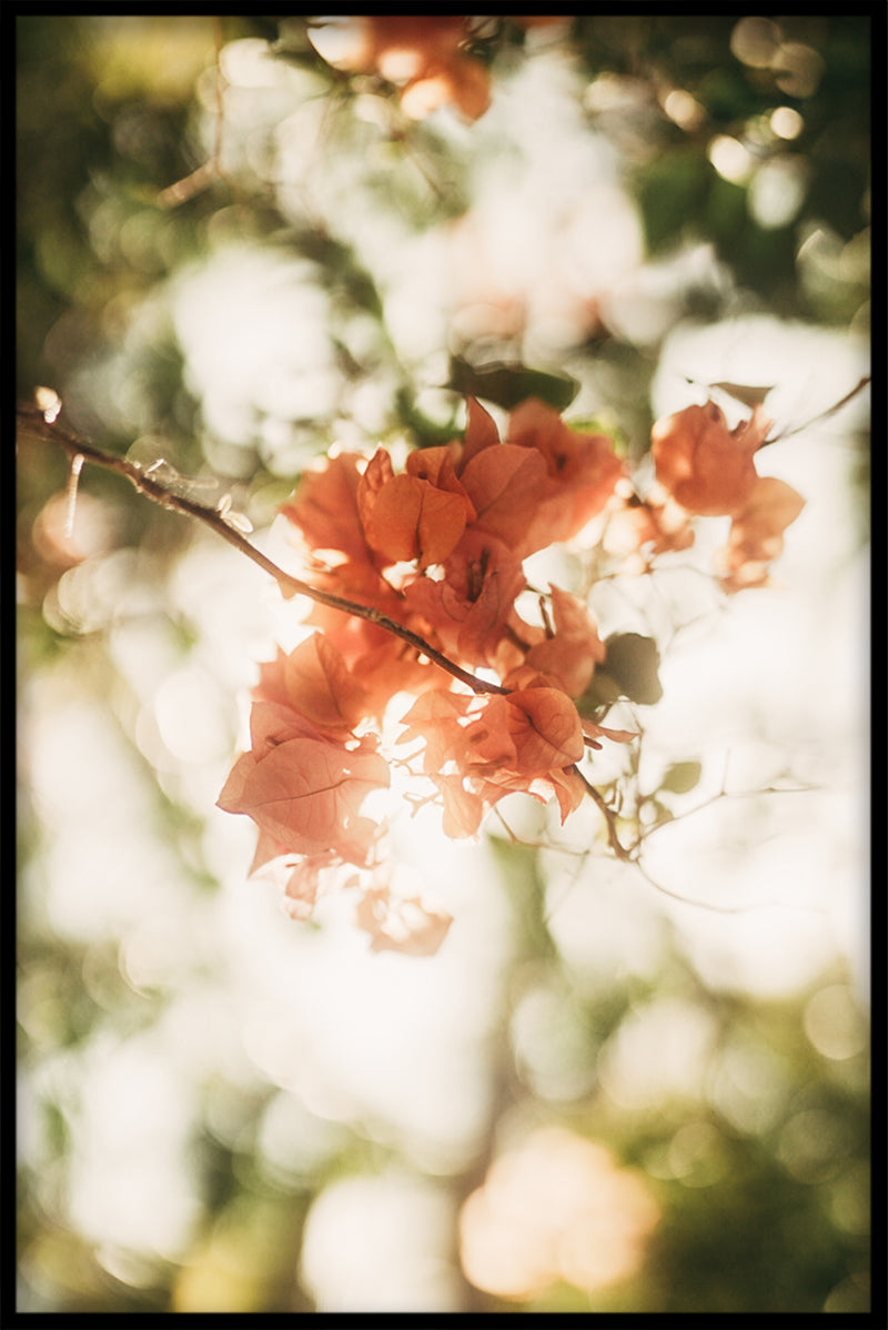 Södra Europa N02-Plakat