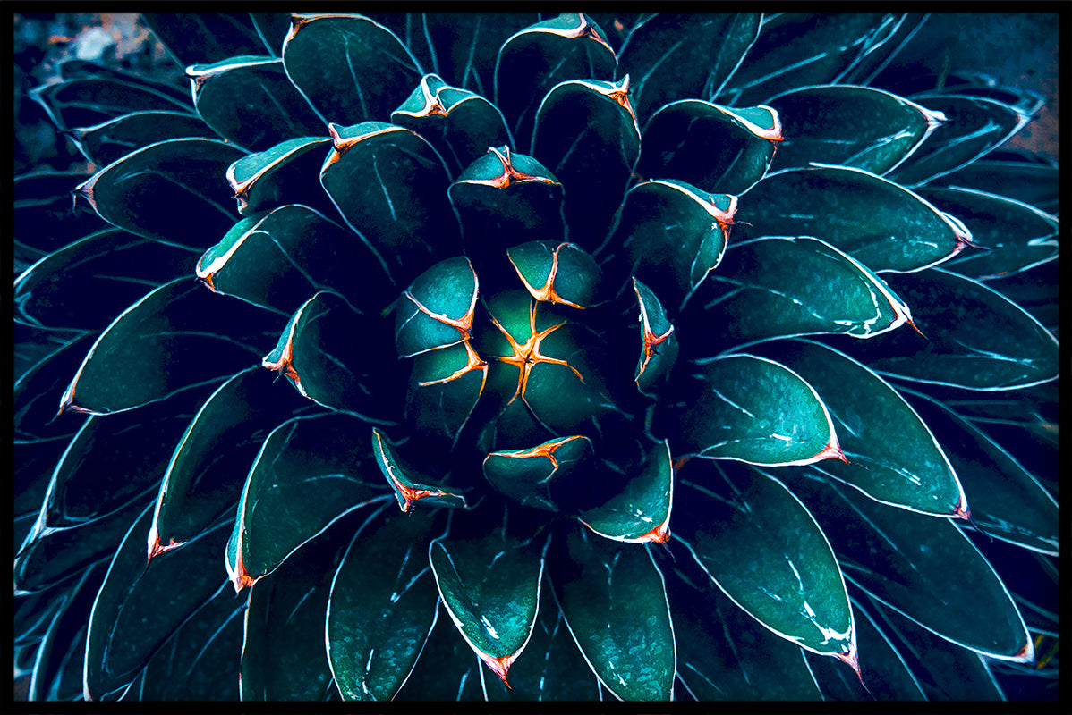 Exotische Pflanzen N06 Artikel