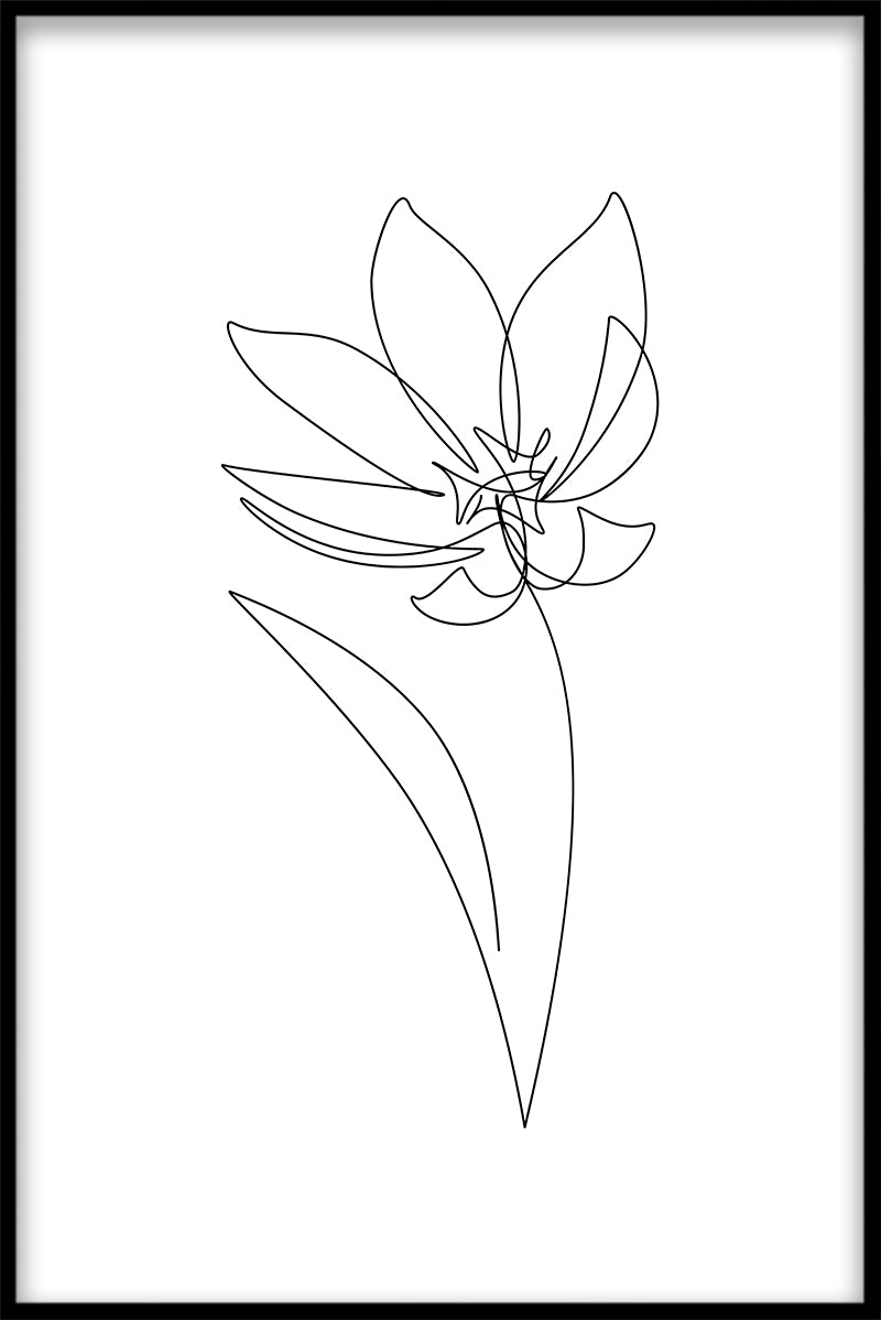 Strichzeichnungen Blumenposter