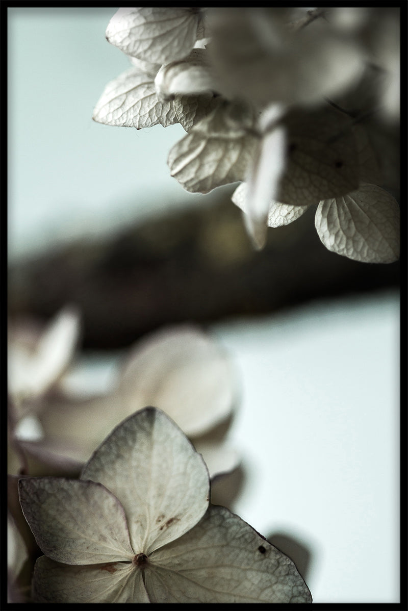 Vintages blomma N03-Plakat