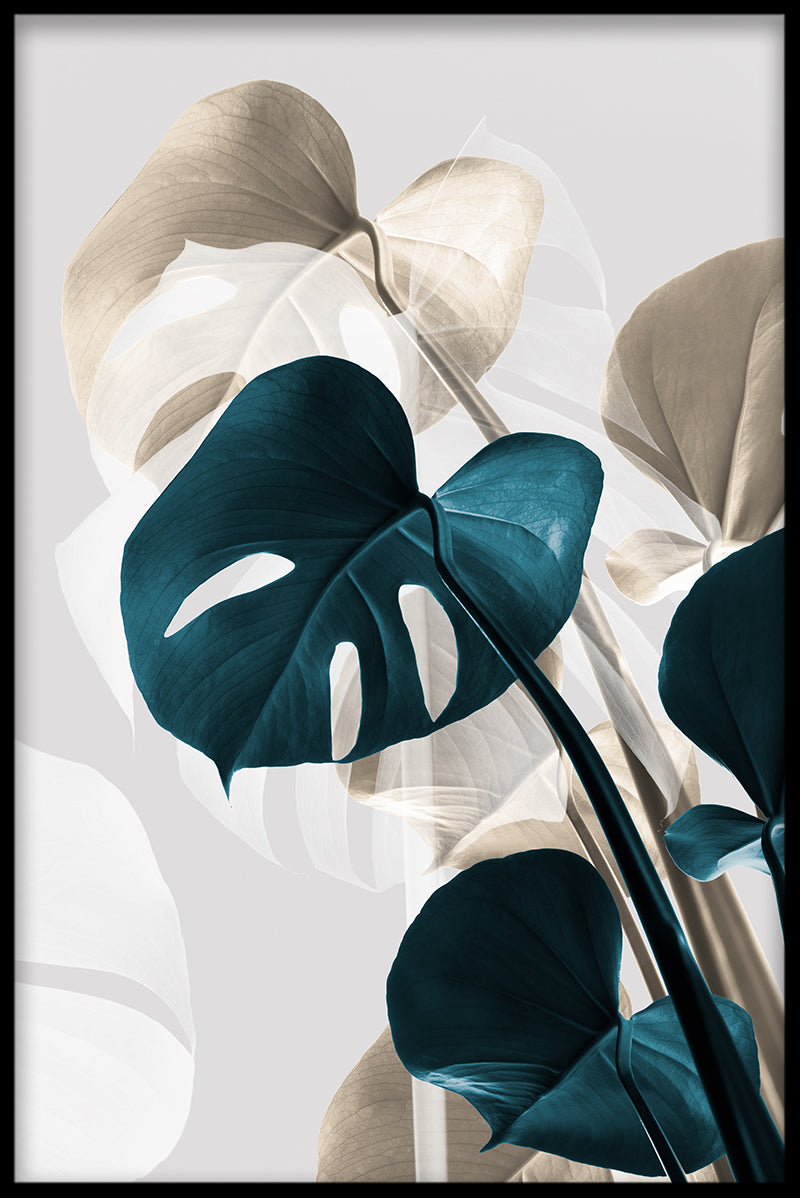 Abstraktes Plakat der Monstera N03