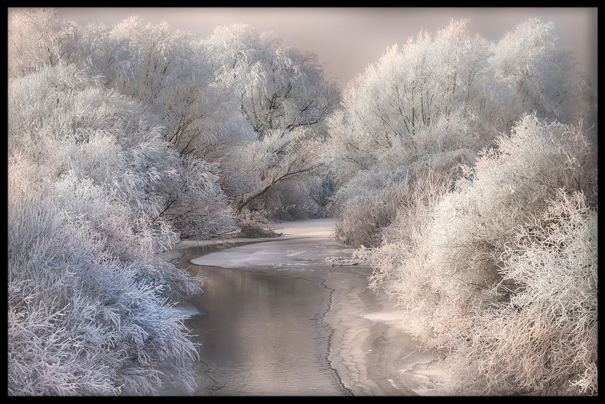 Posts mit Winterliedern