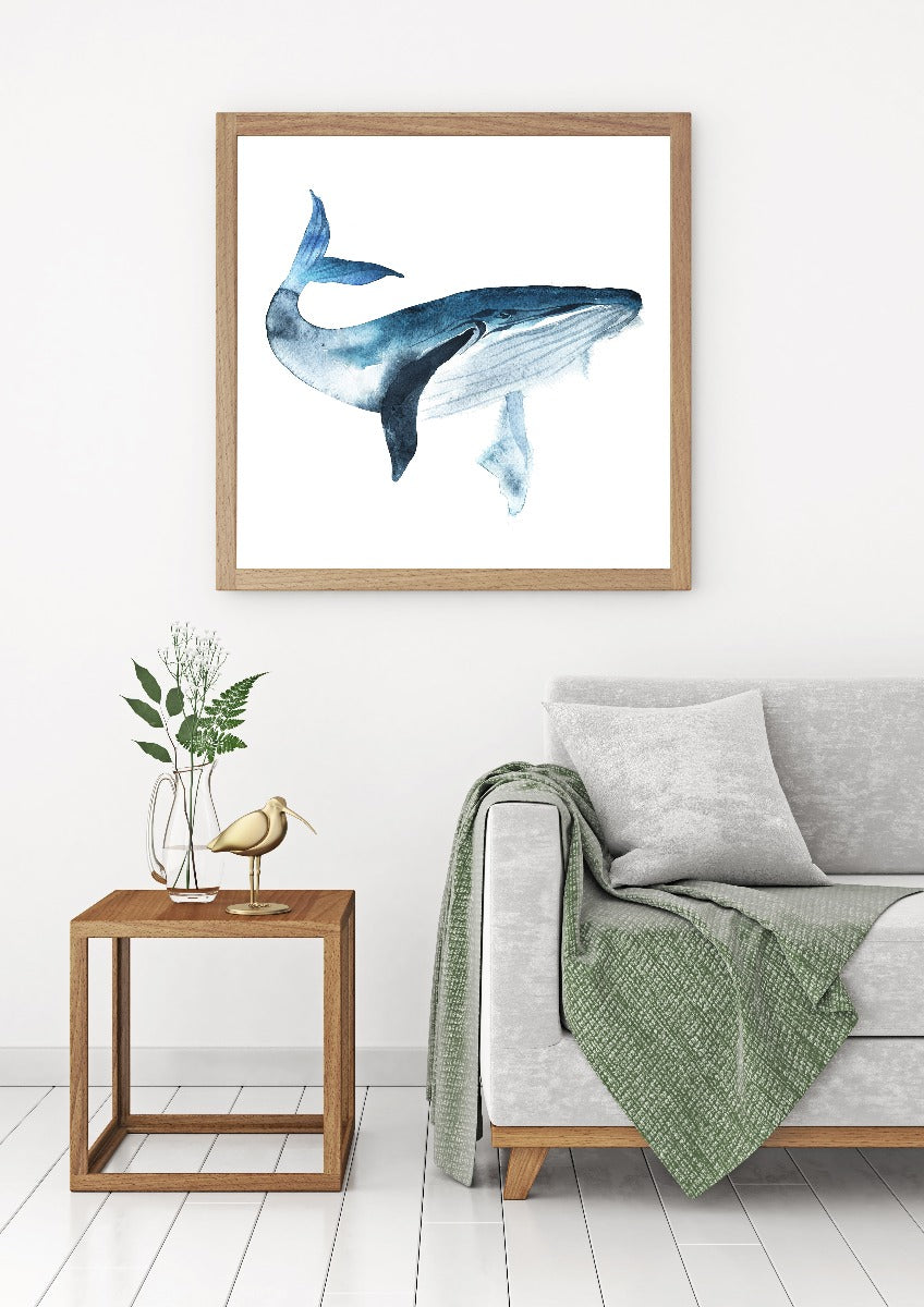 Blåval-Aquarellplakate