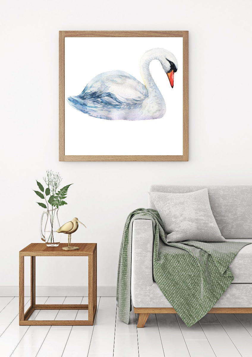 Schwan Solo Aquarell