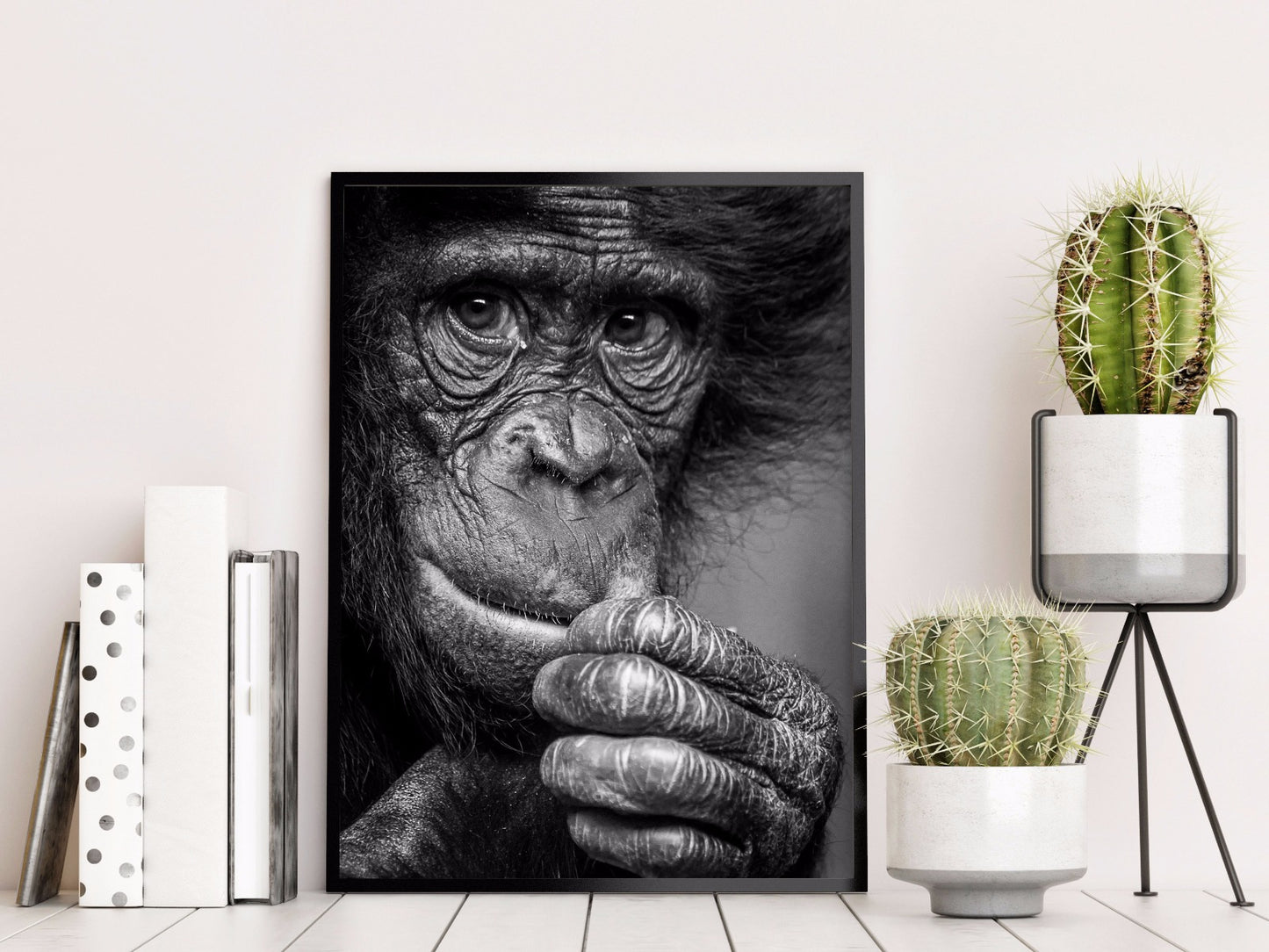 Bonobo sieht zum Nachdenken anregende Posts