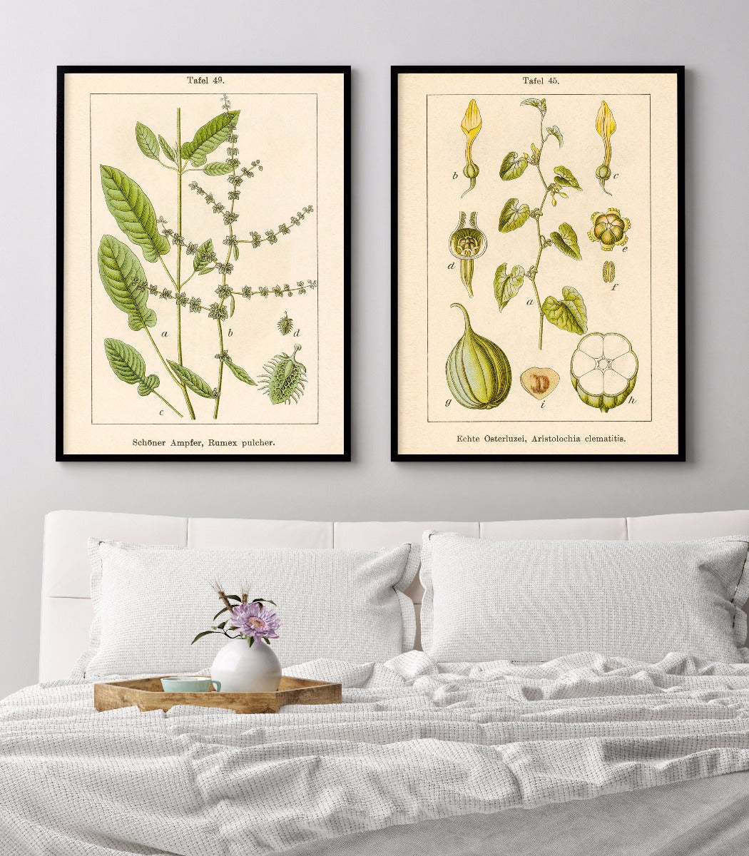 Antik blomma Illustration Fiddle Dock Poster