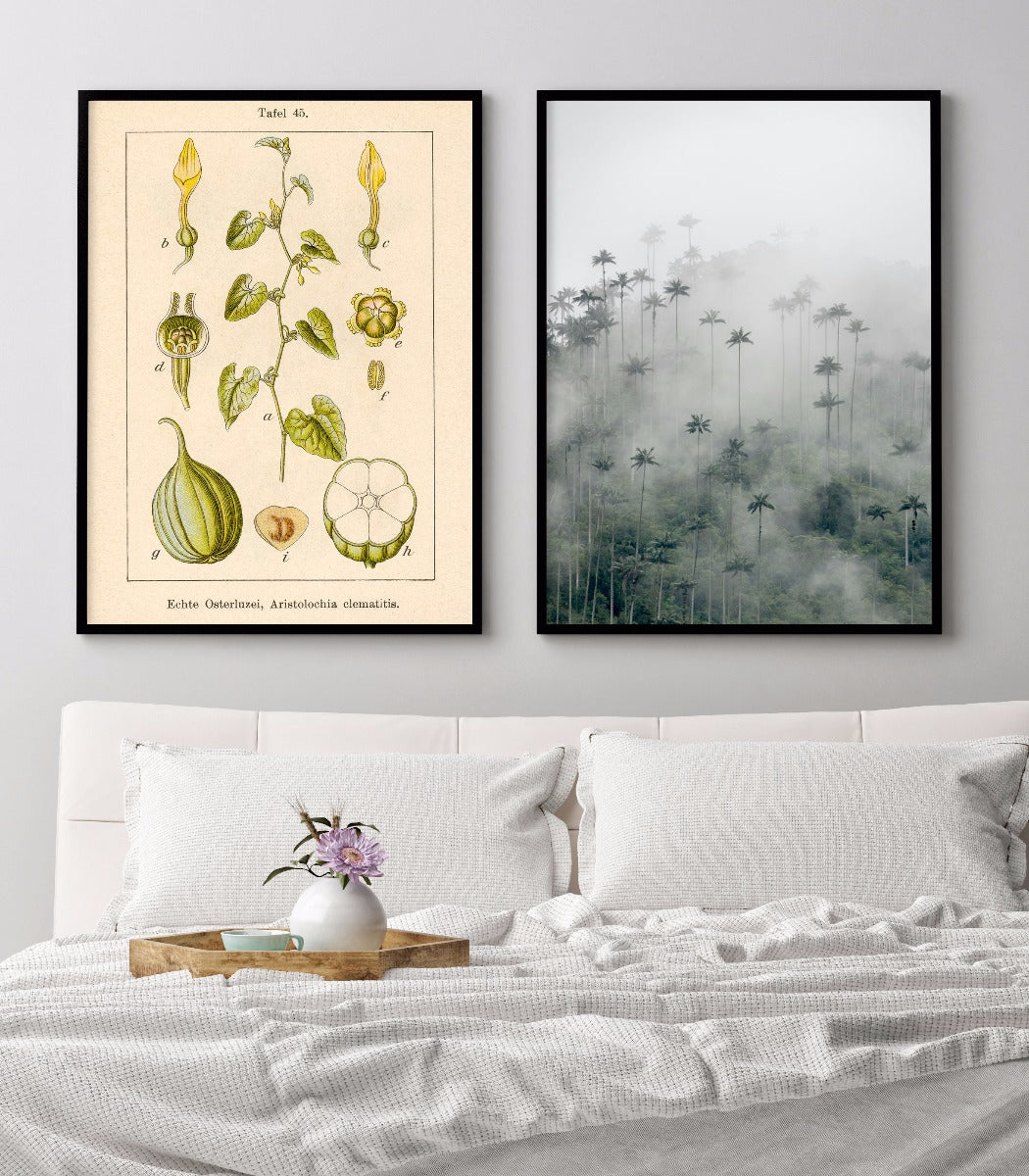 Antik blomma Poster mit Geburtswurz