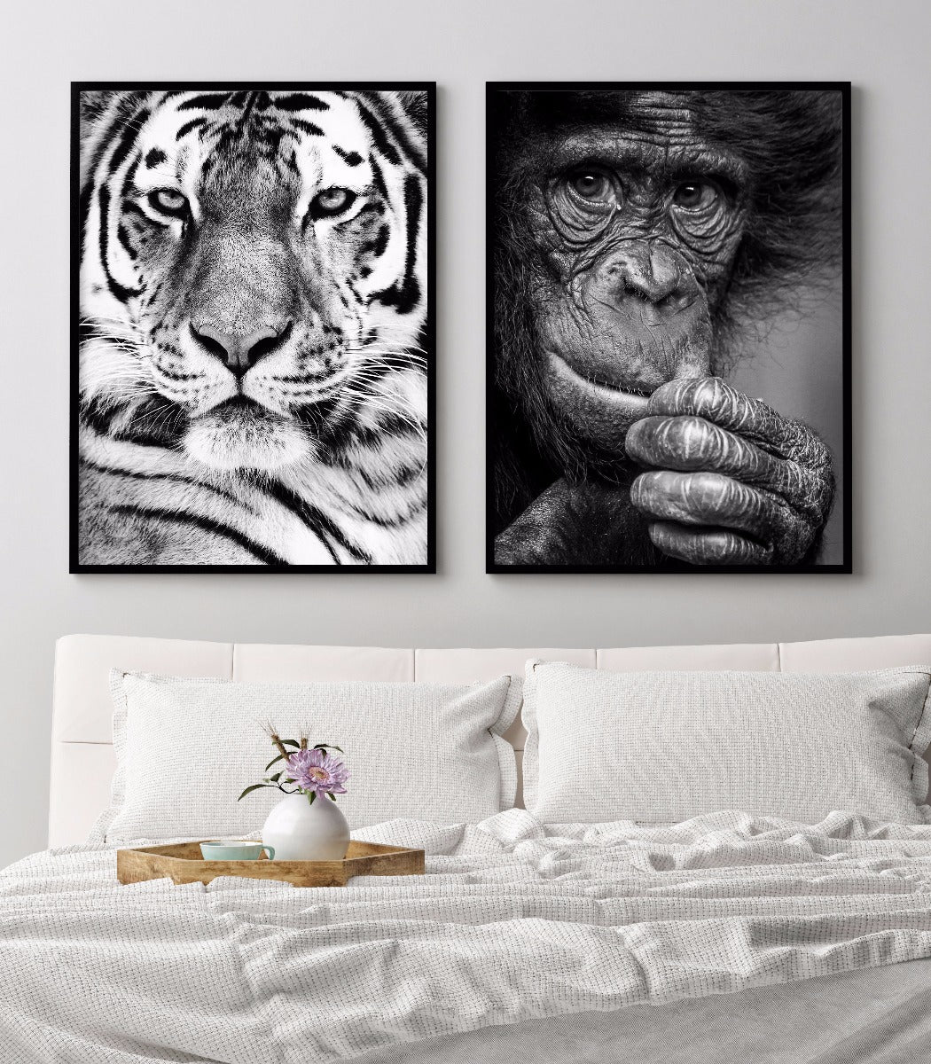 Porträtplakat des sibirischen Tigers