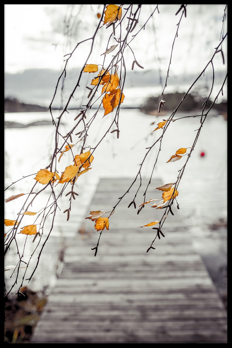 Herbstliche Schärenposten