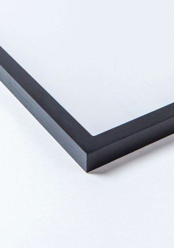 Widder Schwarz 30x40