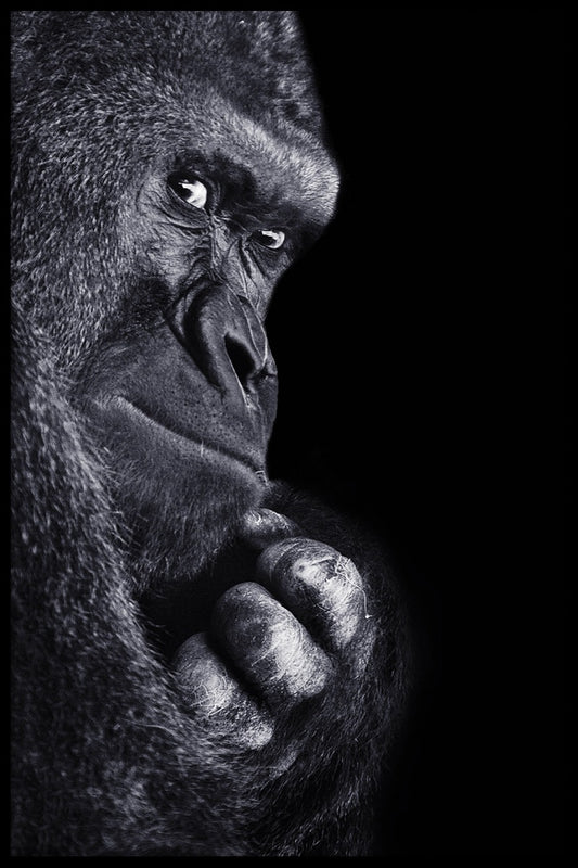  Gorilla-Portrait-Poster