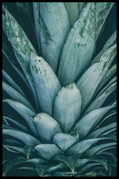  Ananas-Kronen-Plakat