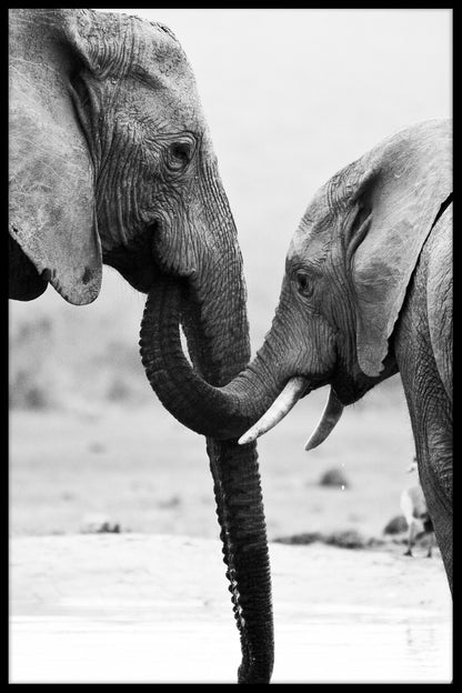  elefantenmutter und sohn poster