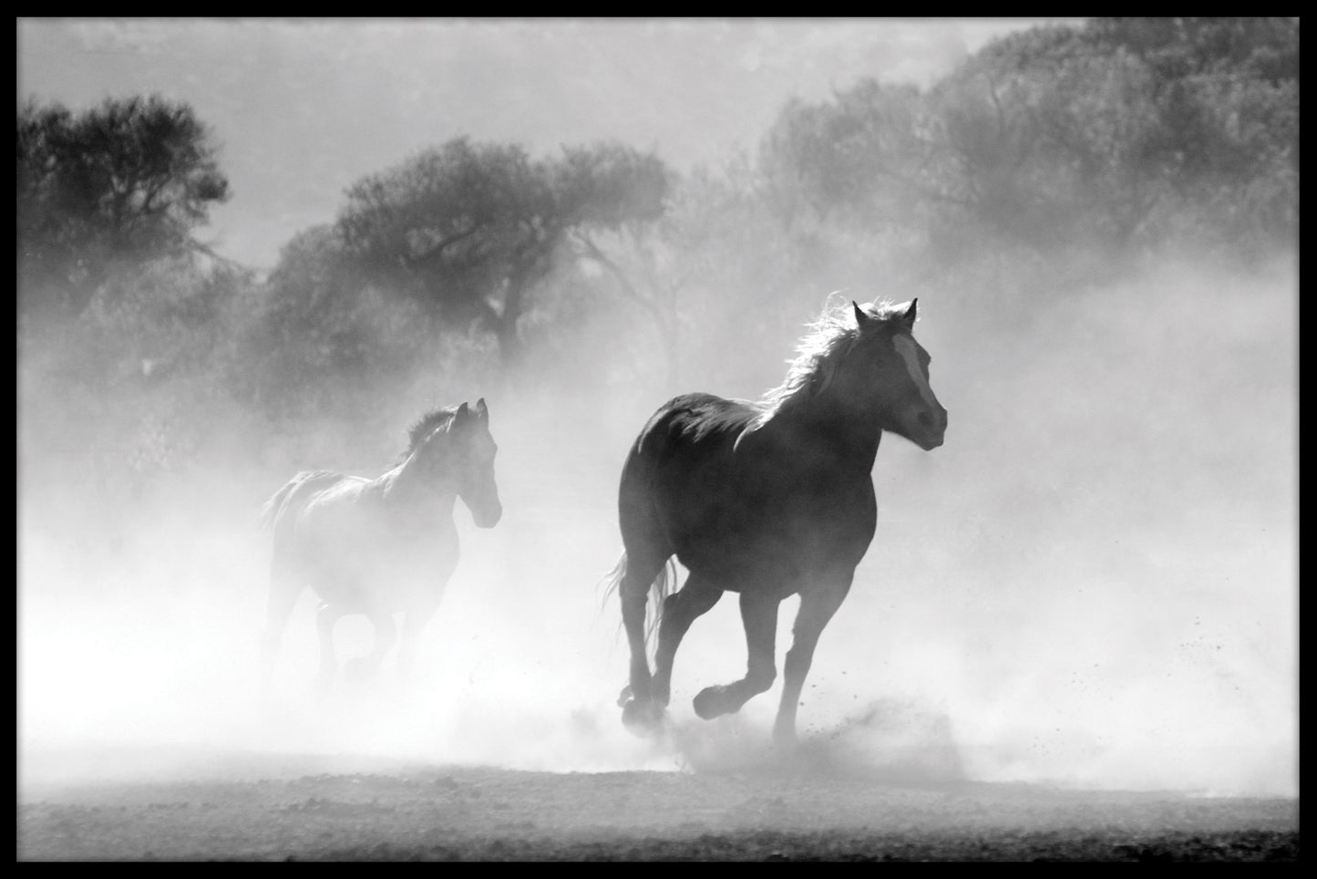  Pferdeherden-Nebelplakat