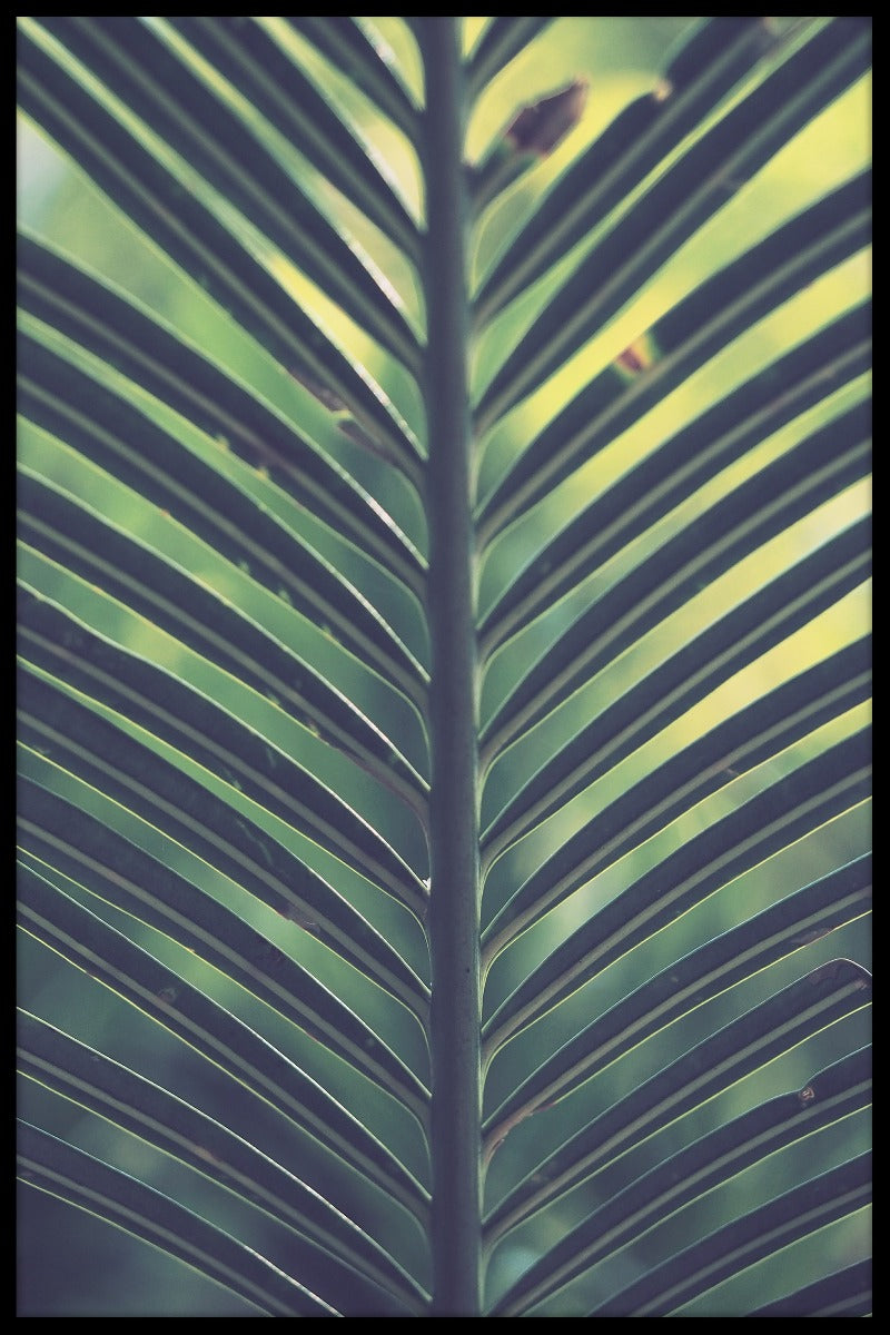  Grünes gelbes Plakat des Palmblattes