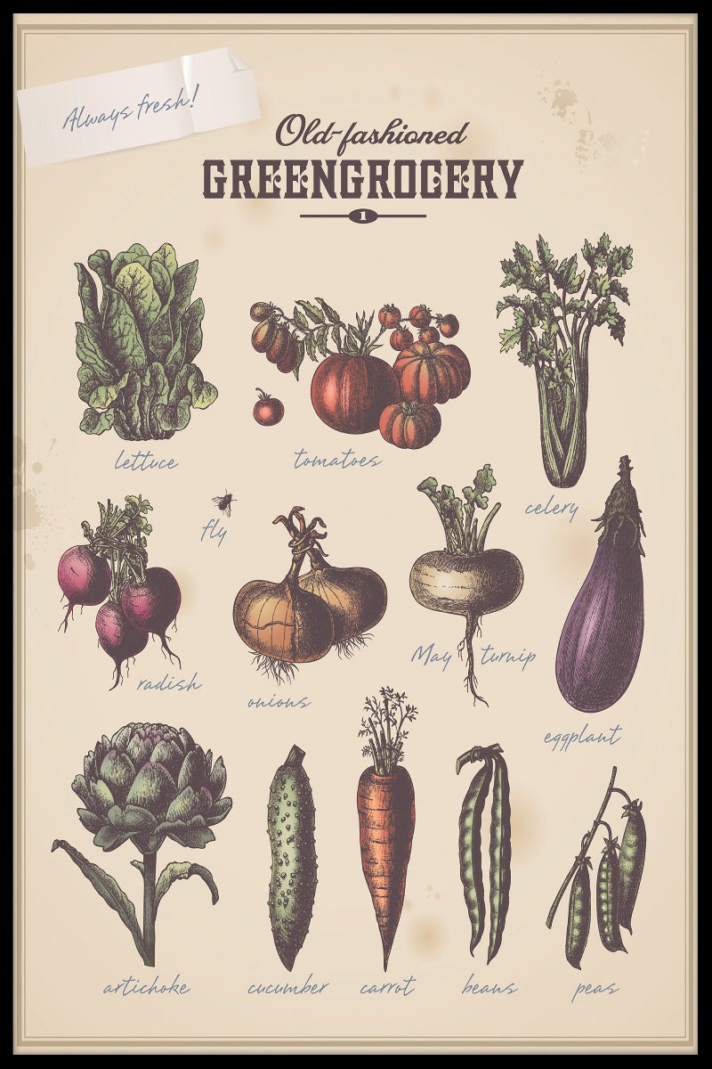  Aufzeichnungen über den Gemüseladen