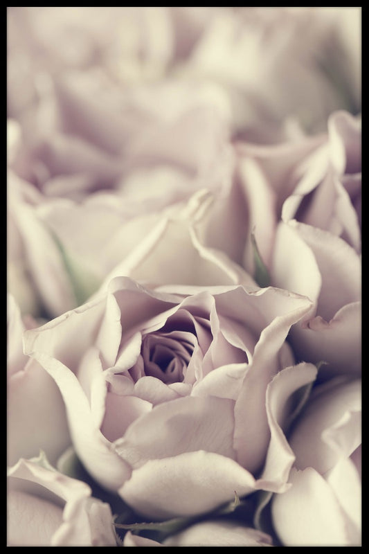  Vintages Pastell-Rose-Plakat