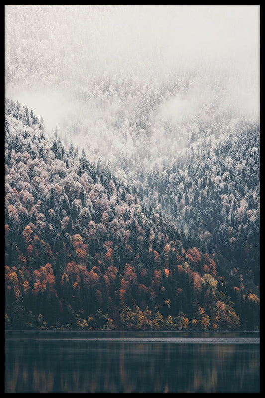  Dimmig Forest Lake-Plakat