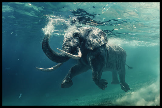  Schwimmendes Elefantenplakat