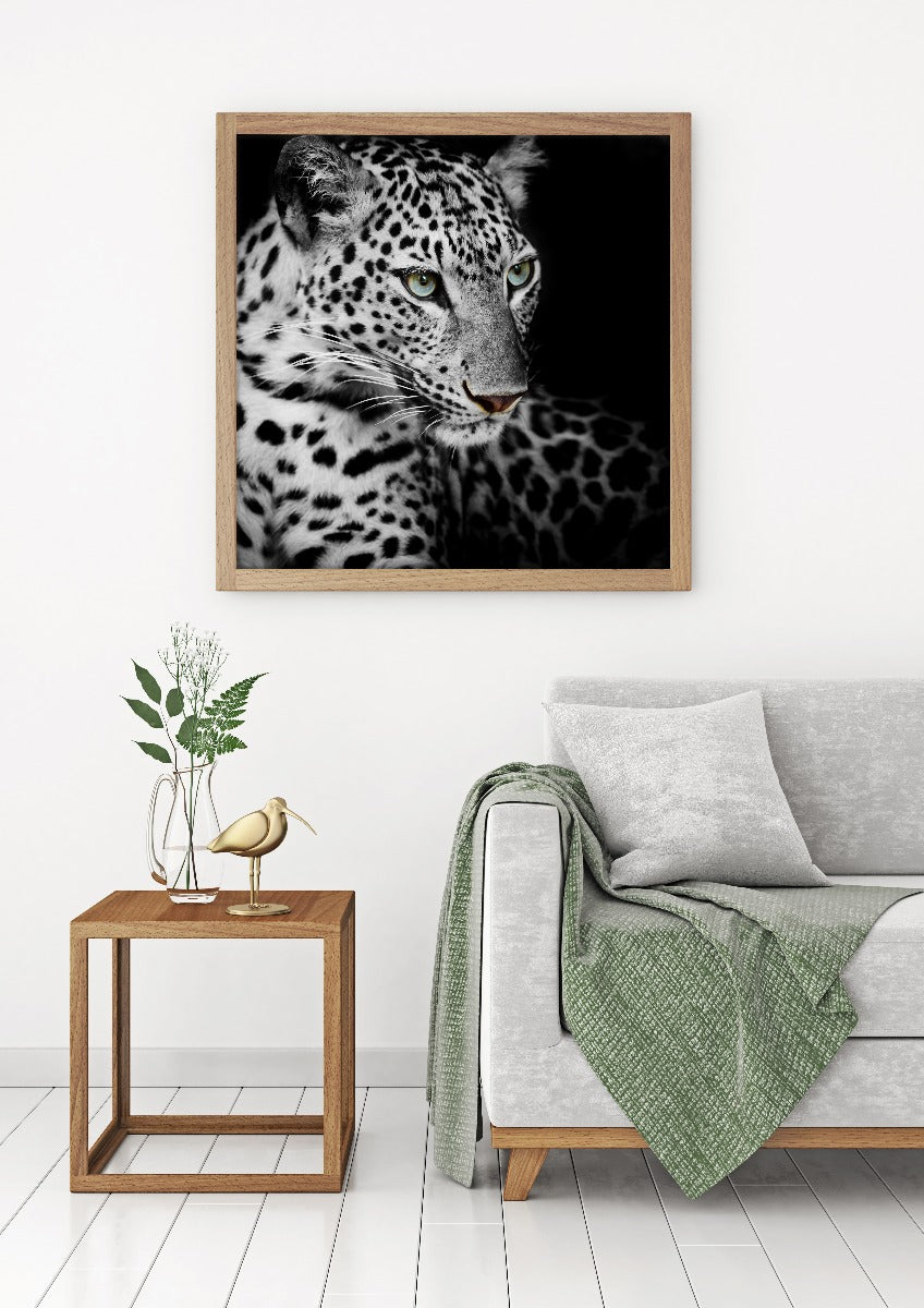  Leopard-Plakat