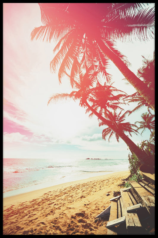  Strand Palmträd-Plakat