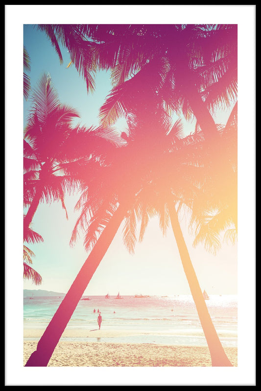  Strandpalm N02-Poster
