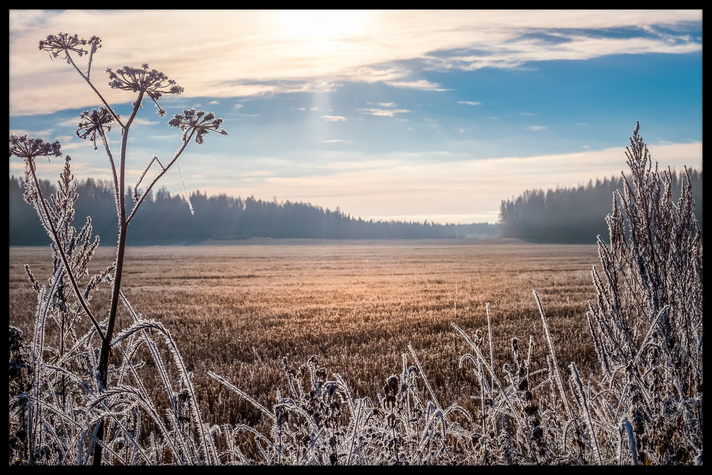  Frostige Landschaft Finnland Poster