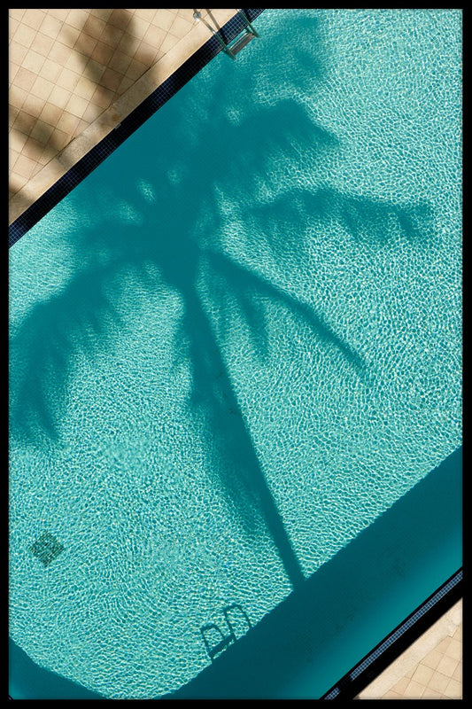  Palm Shadow-Plakat