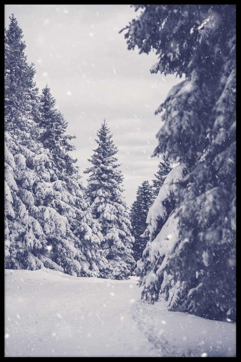  Winterschneewaldplakat